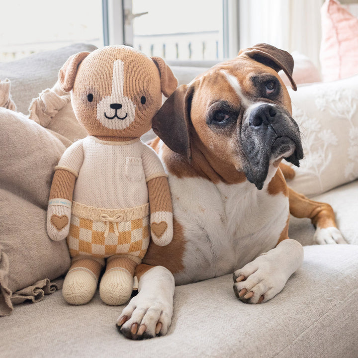 Cuddle + Kind George The Dog