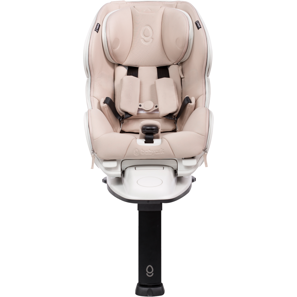 Babyark Premium Convertible Car Seat