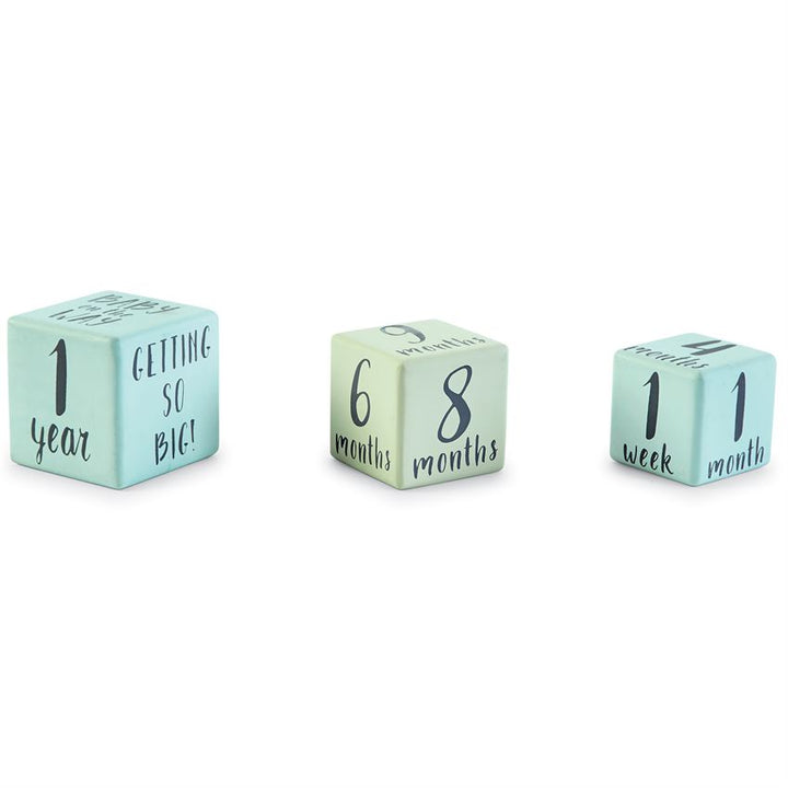 Boy Milestone Block Set