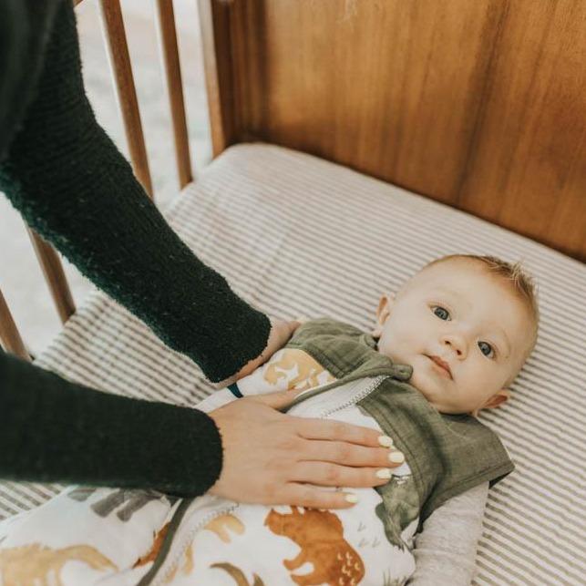 Little Unicorn Cotton Muslin Quilted Sleep Bag | Dino Friends