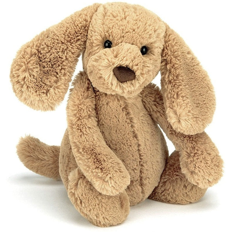 Jellycat 2025 riley puppy