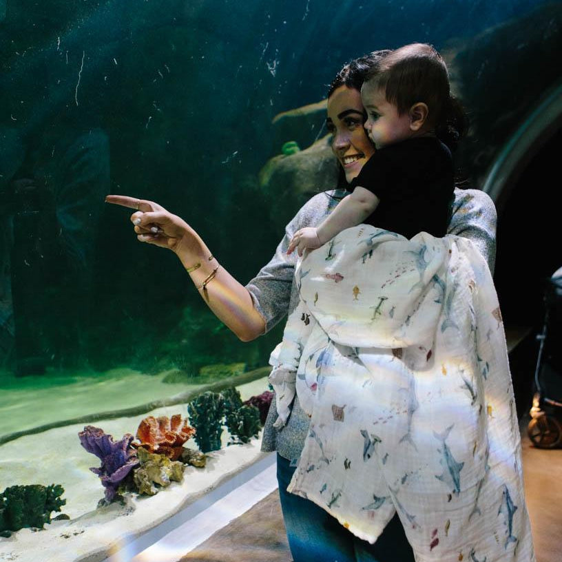 Little Unicorn Cotton Muslin Swaddle Blanket 3 Pack | Shark 2