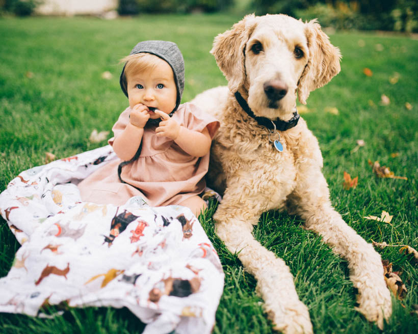 Little Unicorn Cotton Muslin Swaddle Blanket 3 Pack | Woof