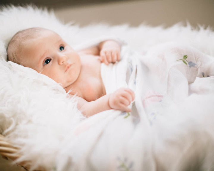 Little Unicorn Deluxe Muslin Swaddle Blanket 2 Pack | Blush Peony