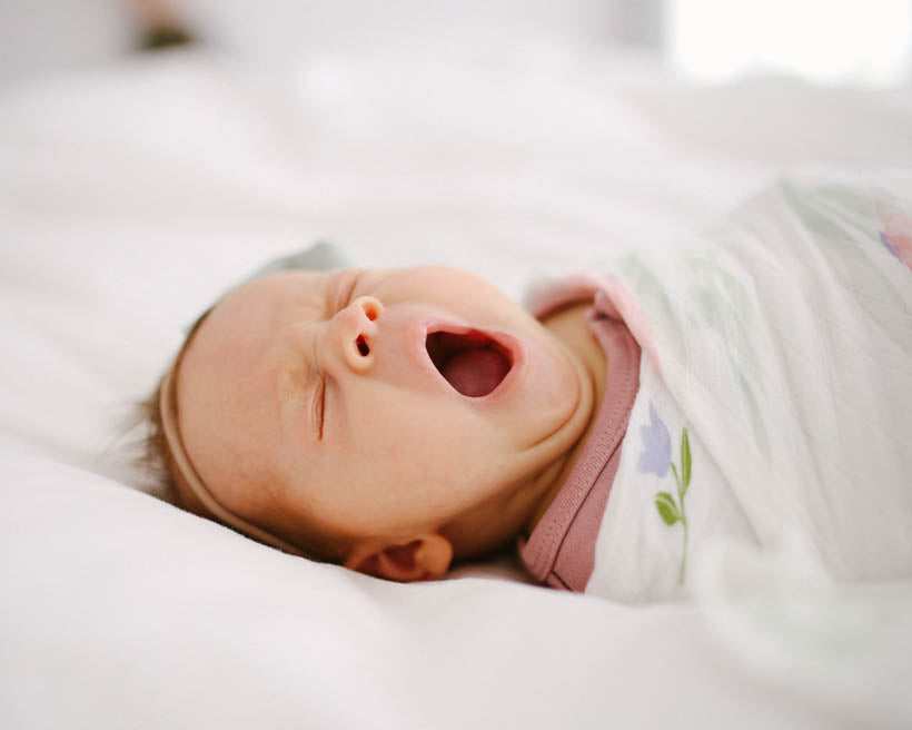 Little Unicorn Deluxe Muslin Swaddle Blanket 2 Pack | Blush Peony