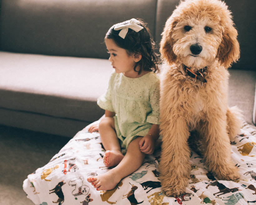 Little Unicorn Cotton Muslin Quilted Throw | Woof