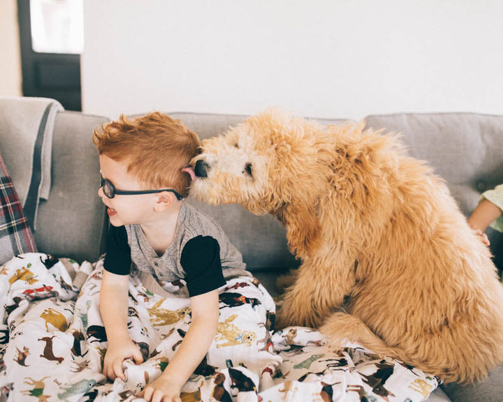 Little Unicorn Cotton Muslin Quilted Throw | Woof