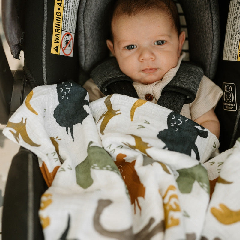 Little Unicorn Cotton Muslin Squares 4 Pack | Dino Friends