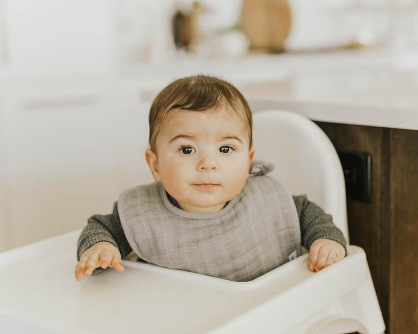 Little Unicorn Cotton Muslin Classic Bib 3 Pack | Fern