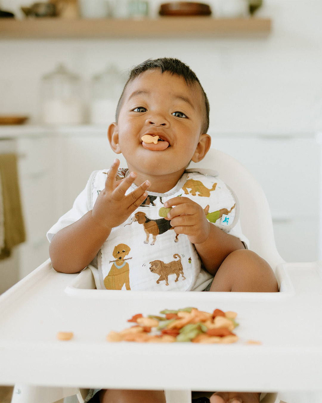 Little Unicorn Cotton Muslin Classic Bib 3 Pack | Woof