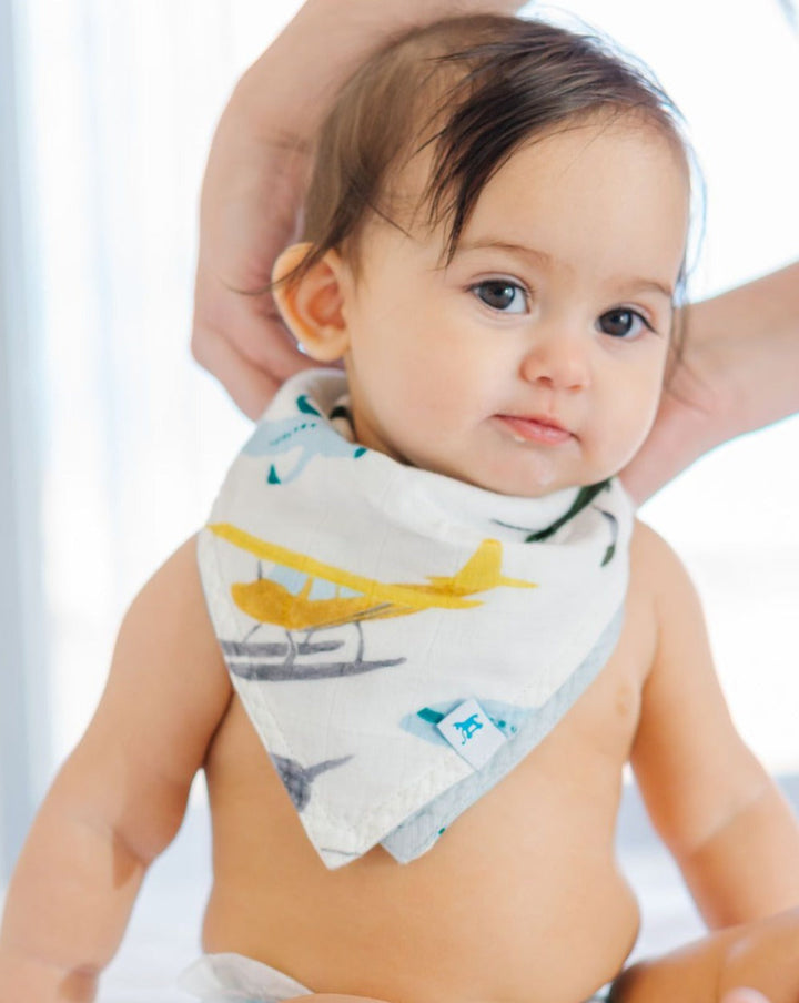 Little Unicorn Deluxe Muslin Reversible Bandana Bib | Air Show