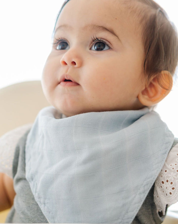 Little Unicorn Deluxe Muslin Reversible Bandana Bib | Air Show