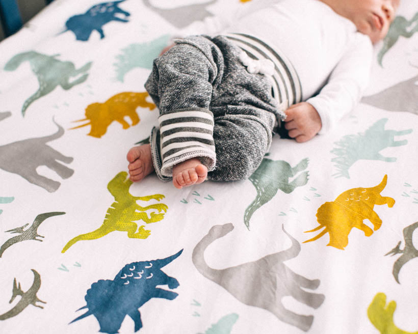 Little Unicorn Cotton Muslin Crib Sheet | Dino Friends