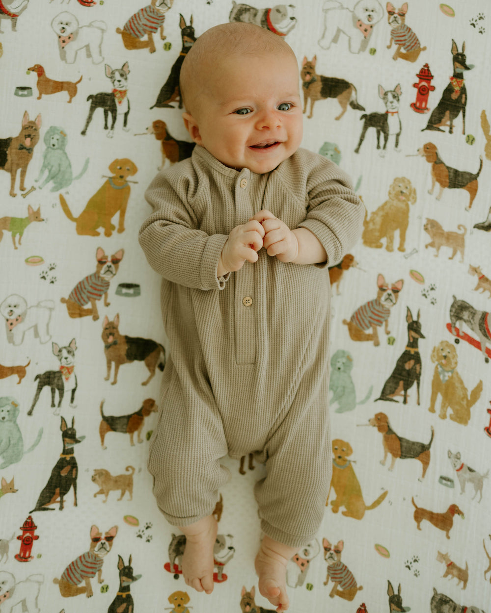 Little Unicorn Cotton Muslin Crib Sheet | Woof