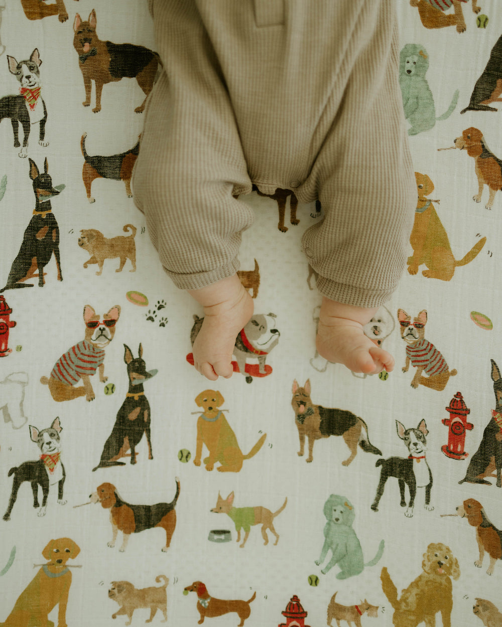 Little Unicorn Cotton Muslin Crib Sheet | Woof