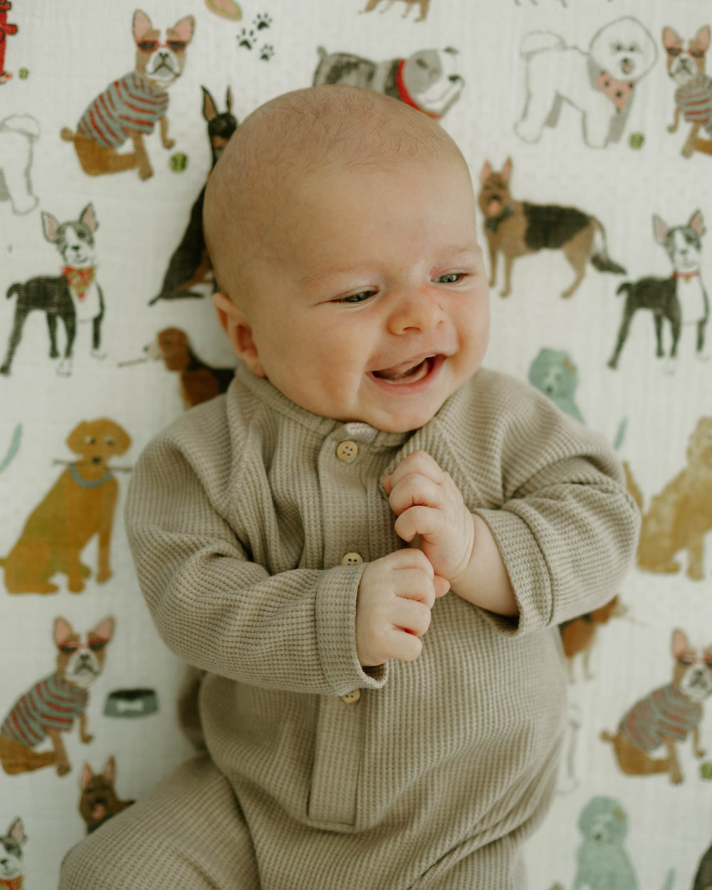 Little Unicorn Cotton Muslin Crib Sheet | Woof