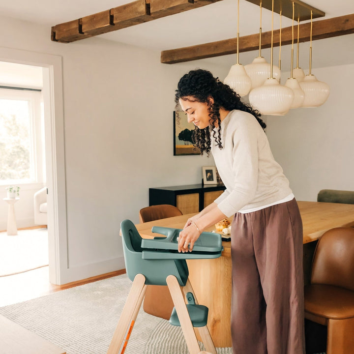 UPPAbaby Ciro V2 High Chair