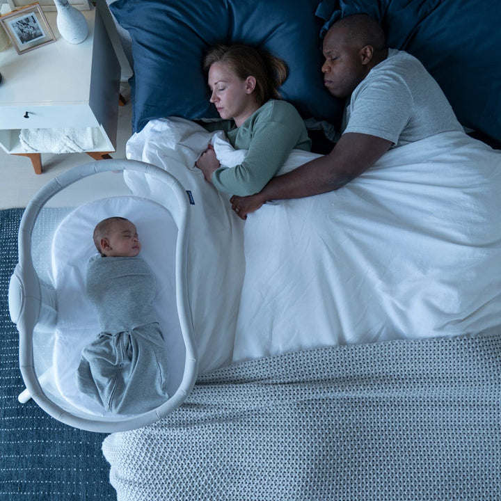 Halo Bassinest Swivel Sleeper 3.0 Gray