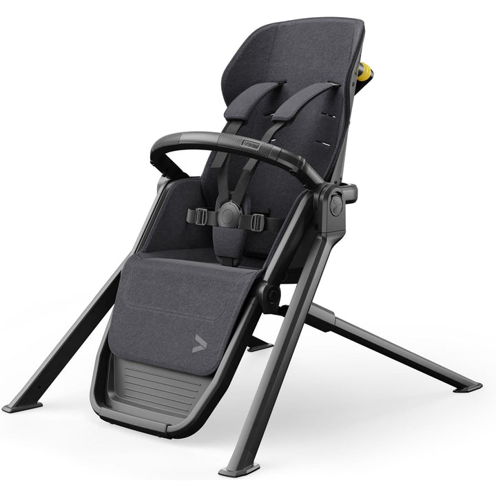 Veer &amp;Chill Frame for Switchback Seat