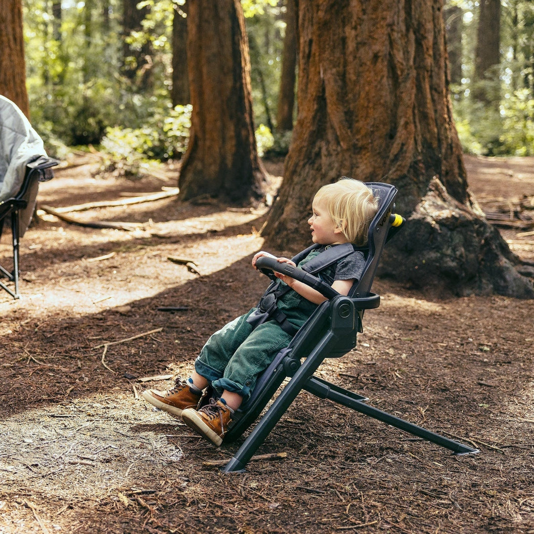 Veer &amp;Chill Frame for Switchback Seat